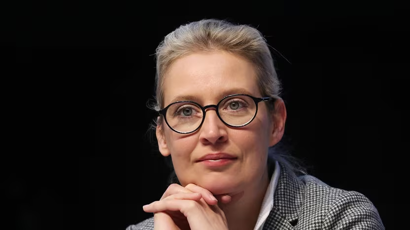 alice weidel ohrprothese