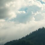 Ralf Dammasch Todesursache: Was wirklich geschah